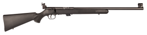SAVAGE ARMS MARK II BOLT 22LR BL/SYN TARG