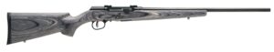 47801414a SAVAGE ARMS A17 SPORTER 17WSM BL/LAM 22"