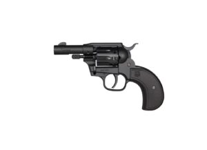 DIAMONDBACK FIREARMS SIDEKICK 22LR/22M BK BIRDSHEAD