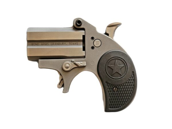 BOND ARMS STUBBY 22LR SS 2.2" FS