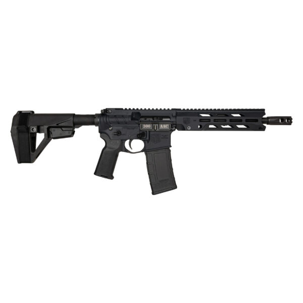 DIAMONDBACK FIREARMS DB15O 300BLK BLACK 10" BRACE