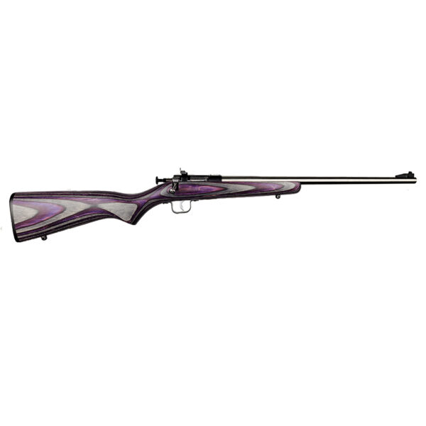 ksa2228purplelaminatess5a4e.jpg KEYSTONE SPORTING ARMS CRICKETT 22LR SS/PURPLE LAM