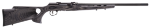 sv47215.png SAVAGE ARMS A22 22LR BL/LAM 22" T'HOLE STK