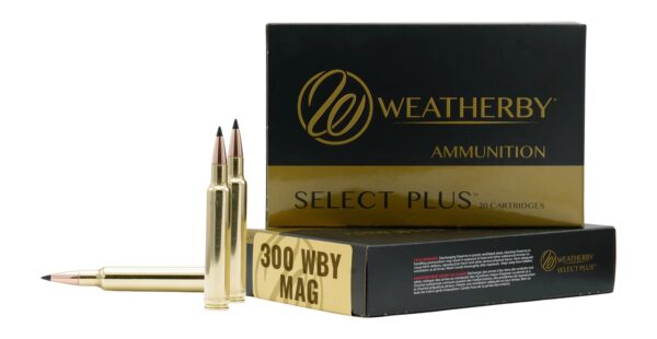 WEATHERBY 300WBY 180GR HDY INTERLOCK