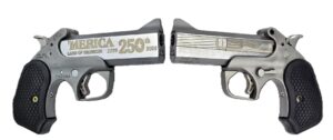 BOND ARMS 250TH REDNECK 45-70 SS 4.25"